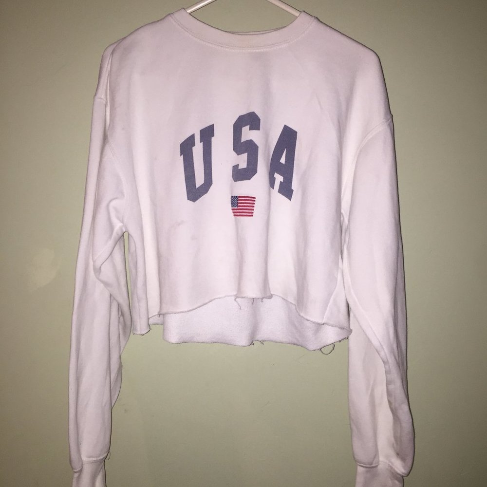 Brandy Melville USA cropped crewneck sweater